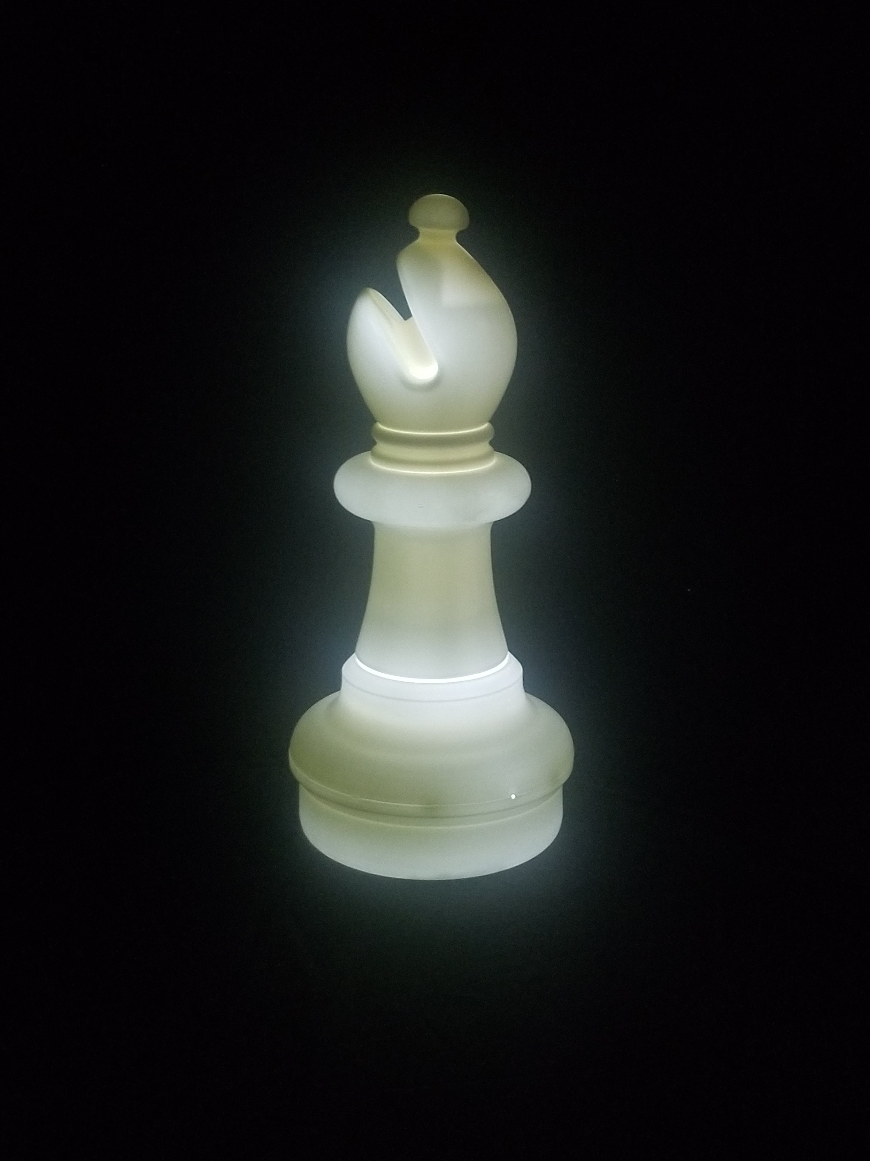 21 Inch LED Bishop Individual Plastic Chess Piece - Illuminates 8 Different Colors | Giant Outdoor Chess | | GiantChessUSA